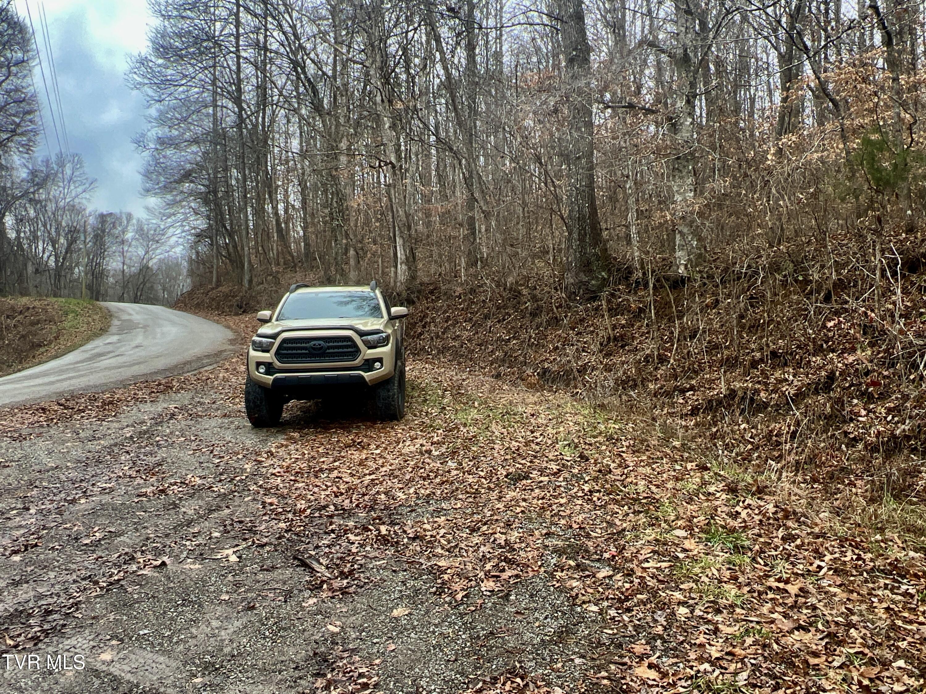 27.4/Ac Tbd Snake Hollow Road, Sneedville, Tennessee image 9