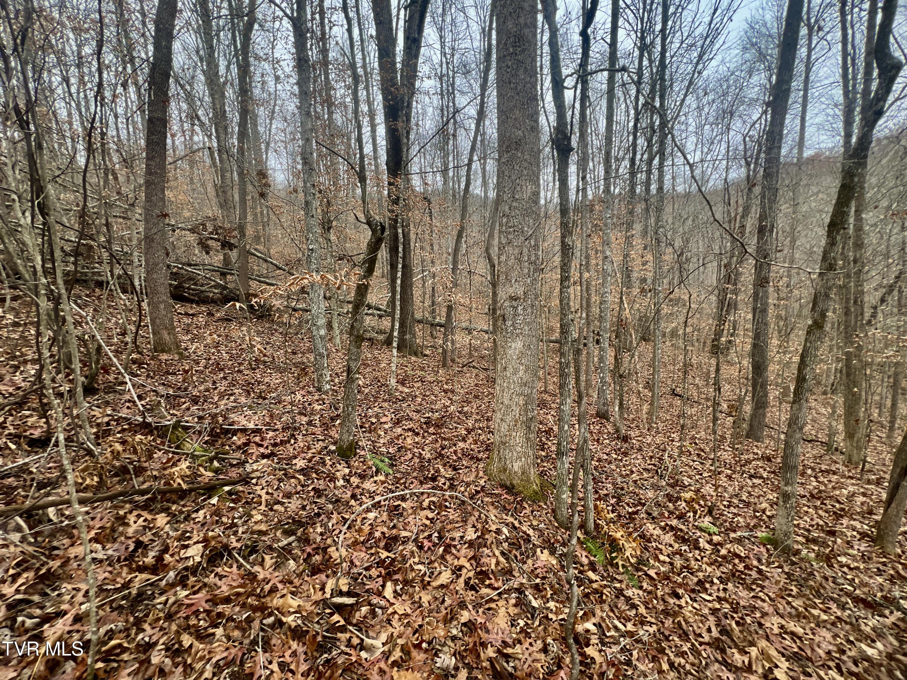 27.4/Ac Tbd Snake Hollow Road, Sneedville, Tennessee image 6