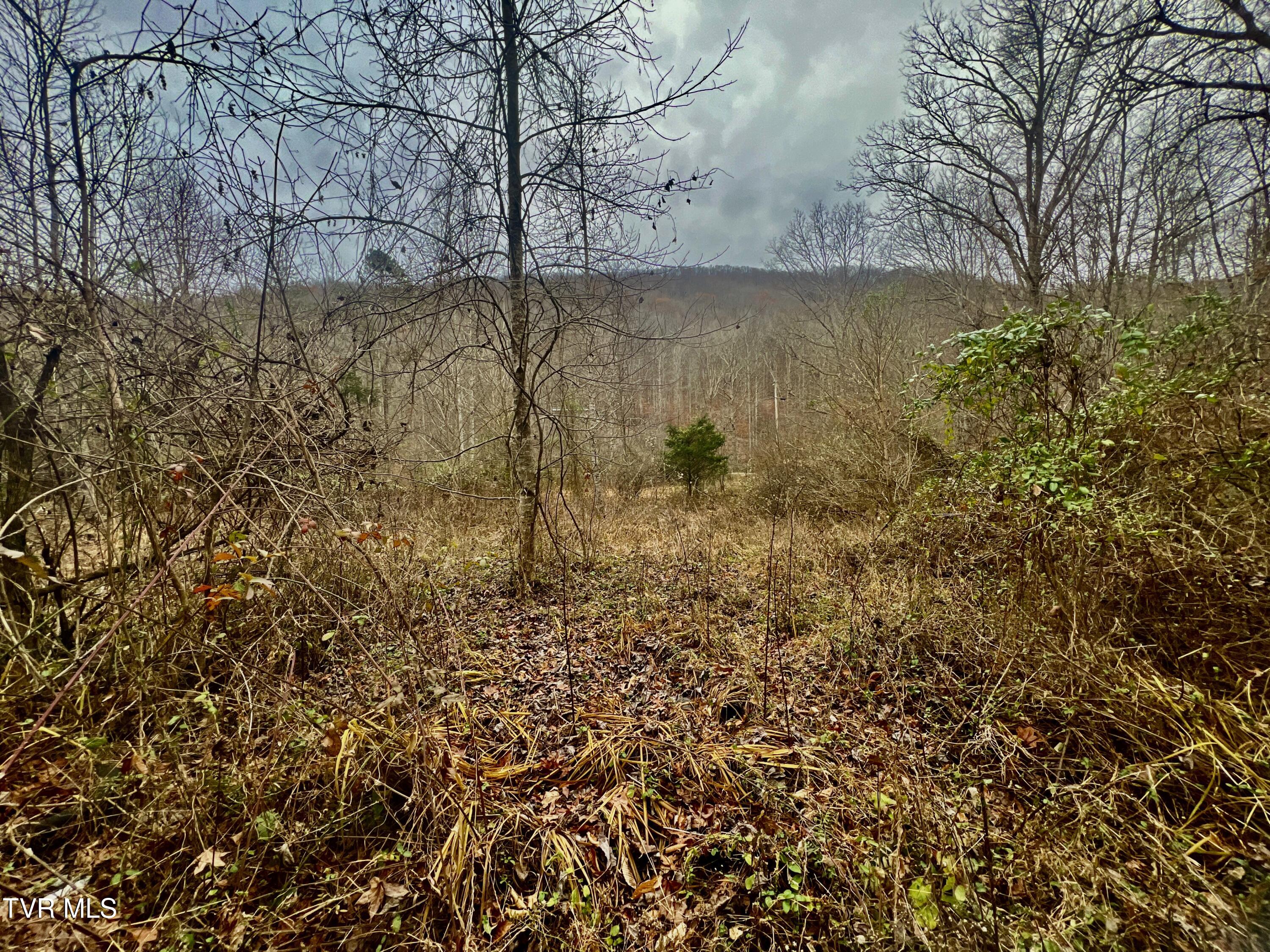27.4/Ac Tbd Snake Hollow Road, Sneedville, Tennessee image 4
