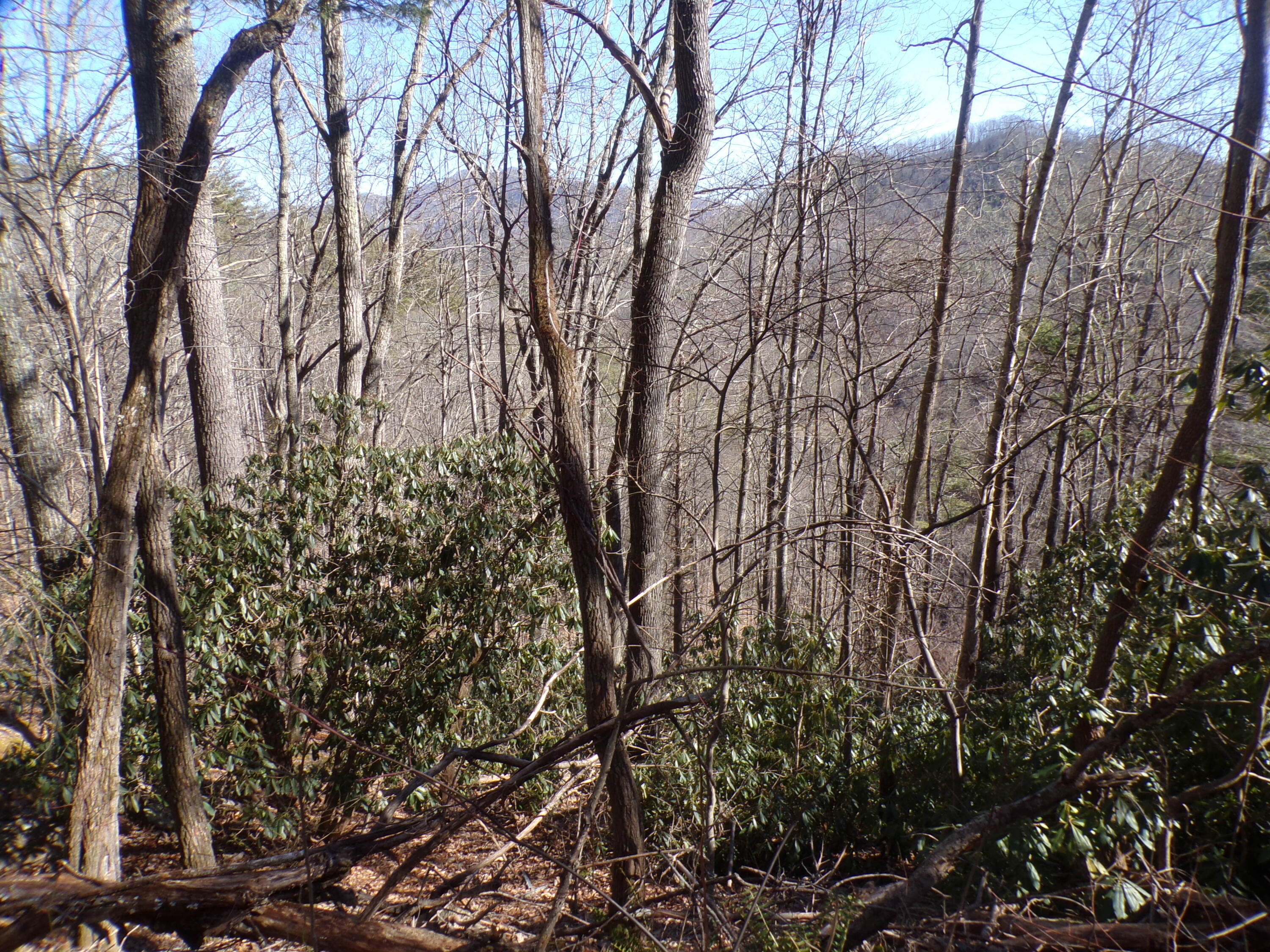Tbd Banjo Ridge Road, Butler, Tennessee image 5