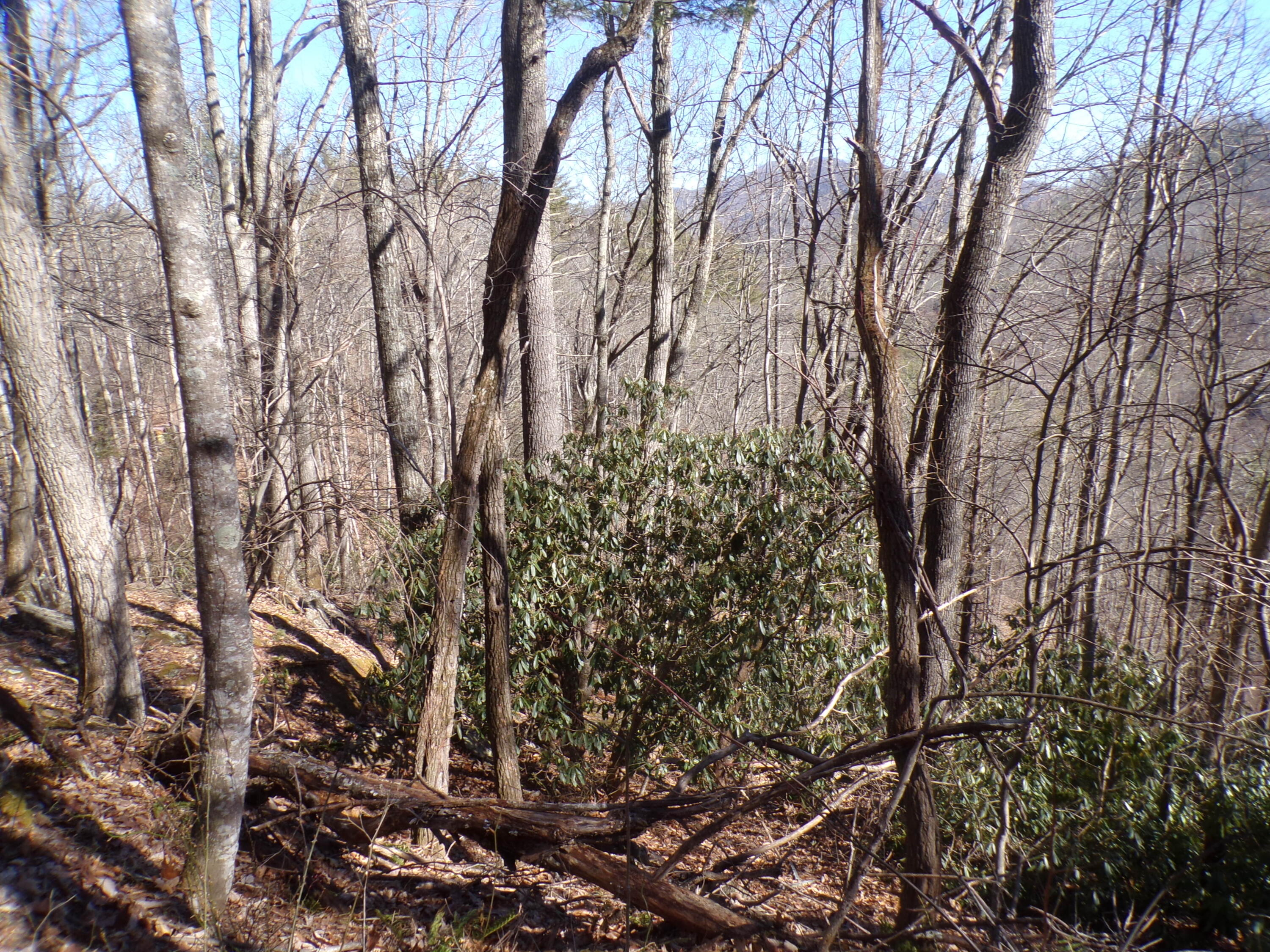 Tbd Banjo Ridge Road, Butler, Tennessee image 2