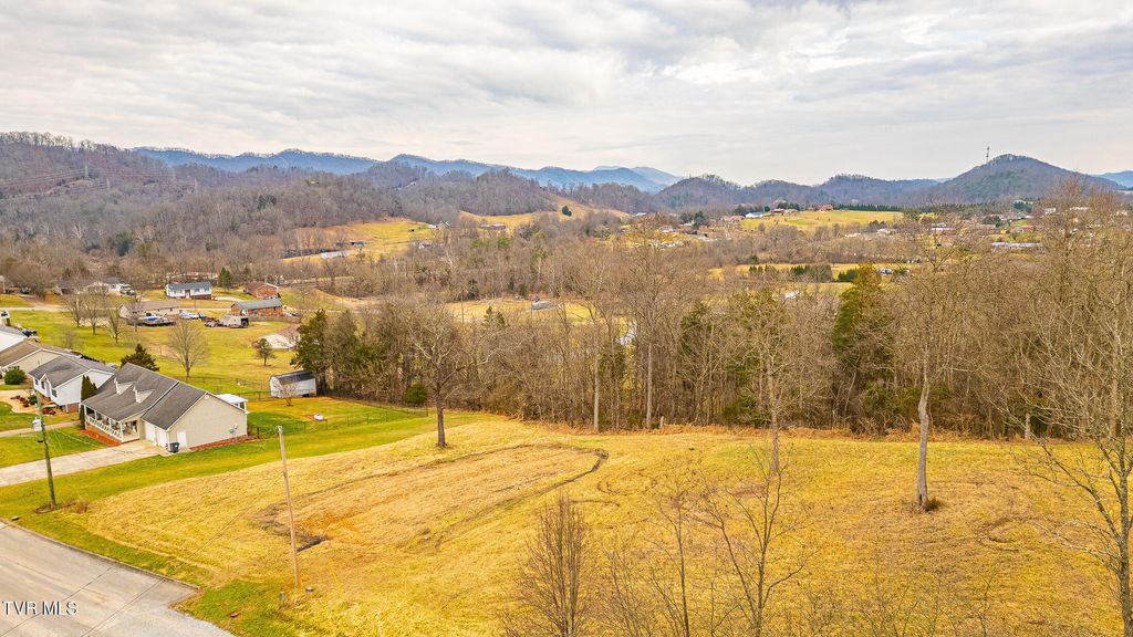 Photo of 0 Ohio Avenue, Mount Carmel, TN 37645 (MLS # 9989575)