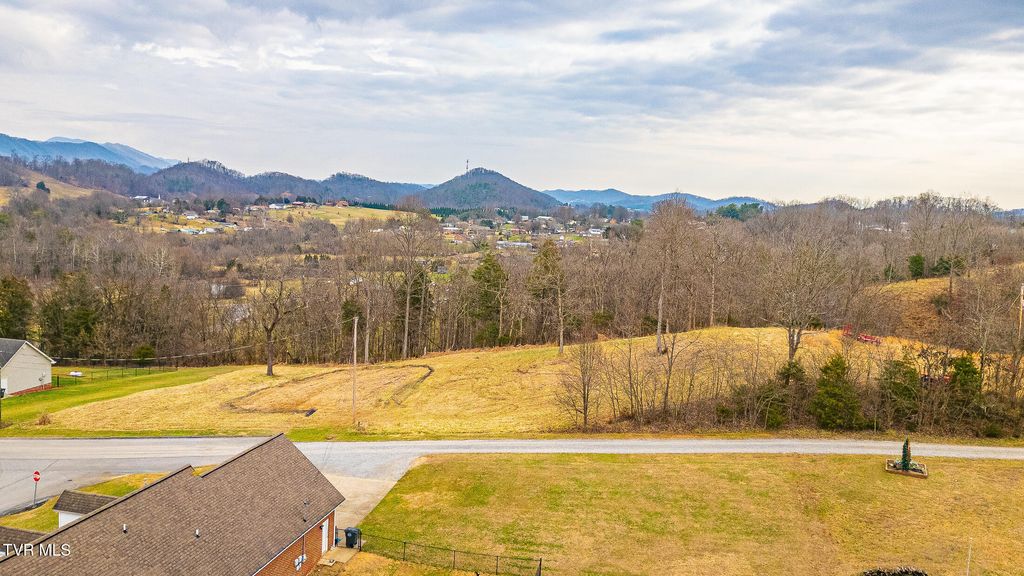 Photo of 0 Ohio Avenue, Mount Carmel, TN 37645 (MLS # 9989575)