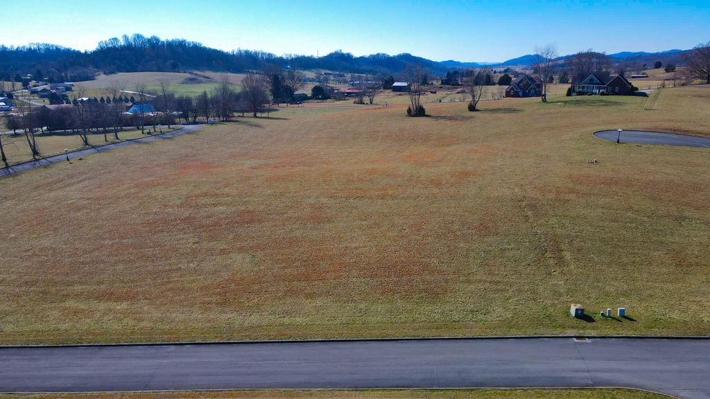 Photo of 62 Walnut Tree Drive, Church Hill, TN 37642 (MLS # 9933608)