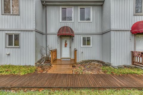 Photo of 102 Point Shore Pvt Drive Dr #102, Piney Flats, TN 37686 (MLS # 9988984)