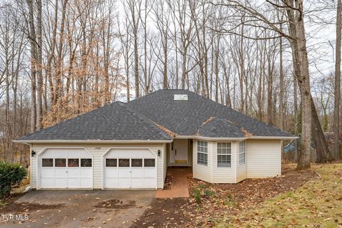 Photo of 1702 Colonial Ridge Road, Johnson City, TN 37604 (MLS # 9988870)