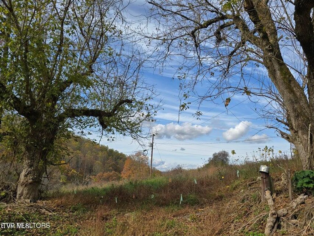 Photo of 227 Elihu Road, Sneedville, TN 37869 (MLS # 9989214)