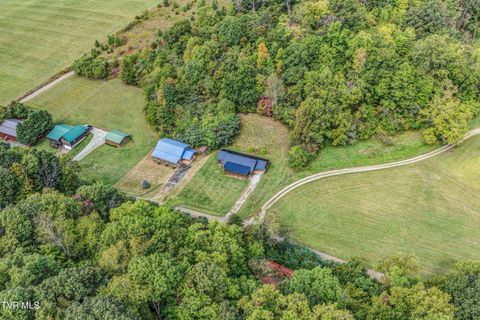 Tiny photo for 366 Judge Ben Allen Road, Elizabethton, TN 37643 (MLS # 9986469)