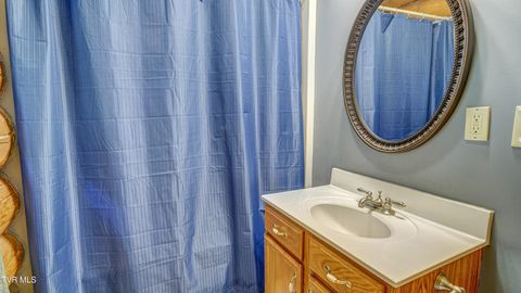 Tiny photo for 366 Judge Ben Allen Road, Elizabethton, TN 37643 (MLS # 9986469)