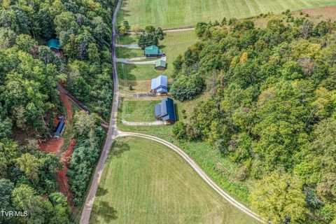 Tiny photo for 366 Judge Ben Allen Road, Elizabethton, TN 37643 (MLS # 9986469)