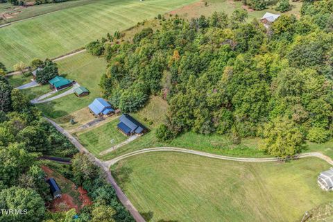 Tiny photo for 366 Judge Ben Allen Road, Elizabethton, TN 37643 (MLS # 9986469)