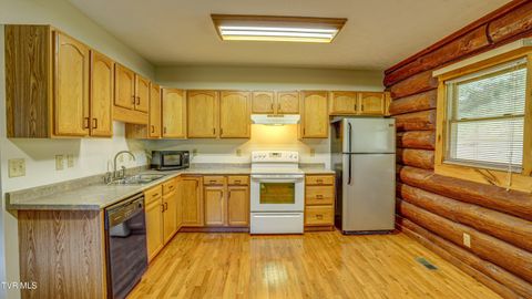 Tiny photo for 366 Judge Ben Allen Road, Elizabethton, TN 37643 (MLS # 9986469)