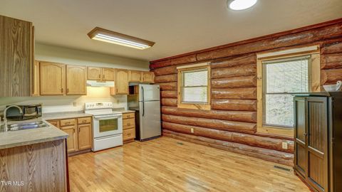 Tiny photo for 366 Judge Ben Allen Road, Elizabethton, TN 37643 (MLS # 9986469)