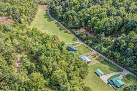 Tiny photo for 366 Judge Ben Allen Road, Elizabethton, TN 37643 (MLS # 9986469)