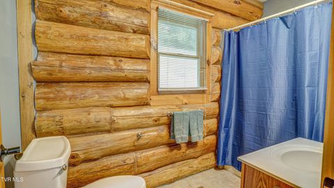 Tiny photo for 366 Judge Ben Allen Road, Elizabethton, TN 37643 (MLS # 9986469)