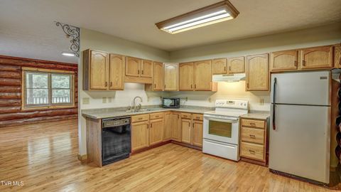 Tiny photo for 366 Judge Ben Allen Road, Elizabethton, TN 37643 (MLS # 9986469)