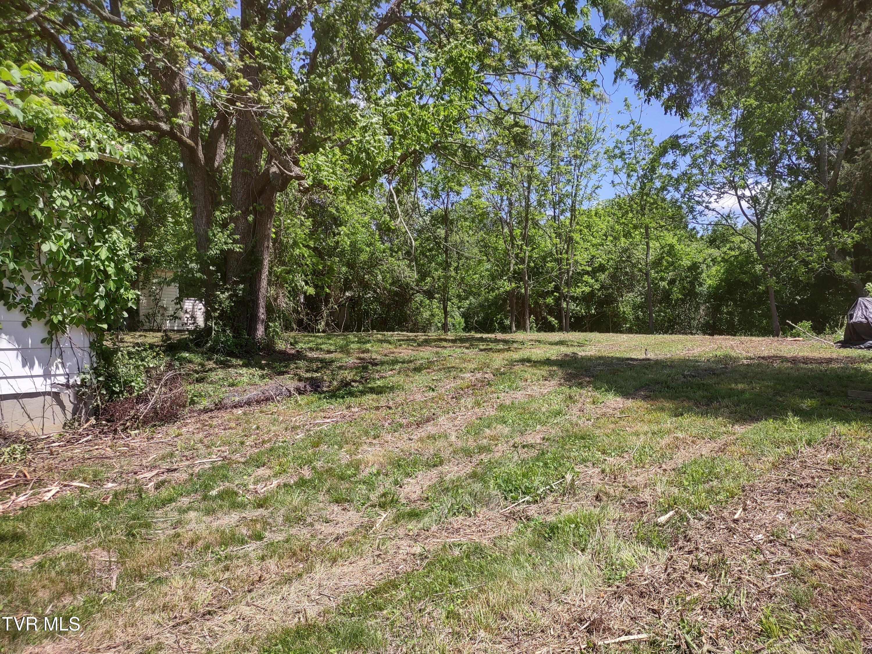 24099 Young Drive, Bristol, Virginia image 3