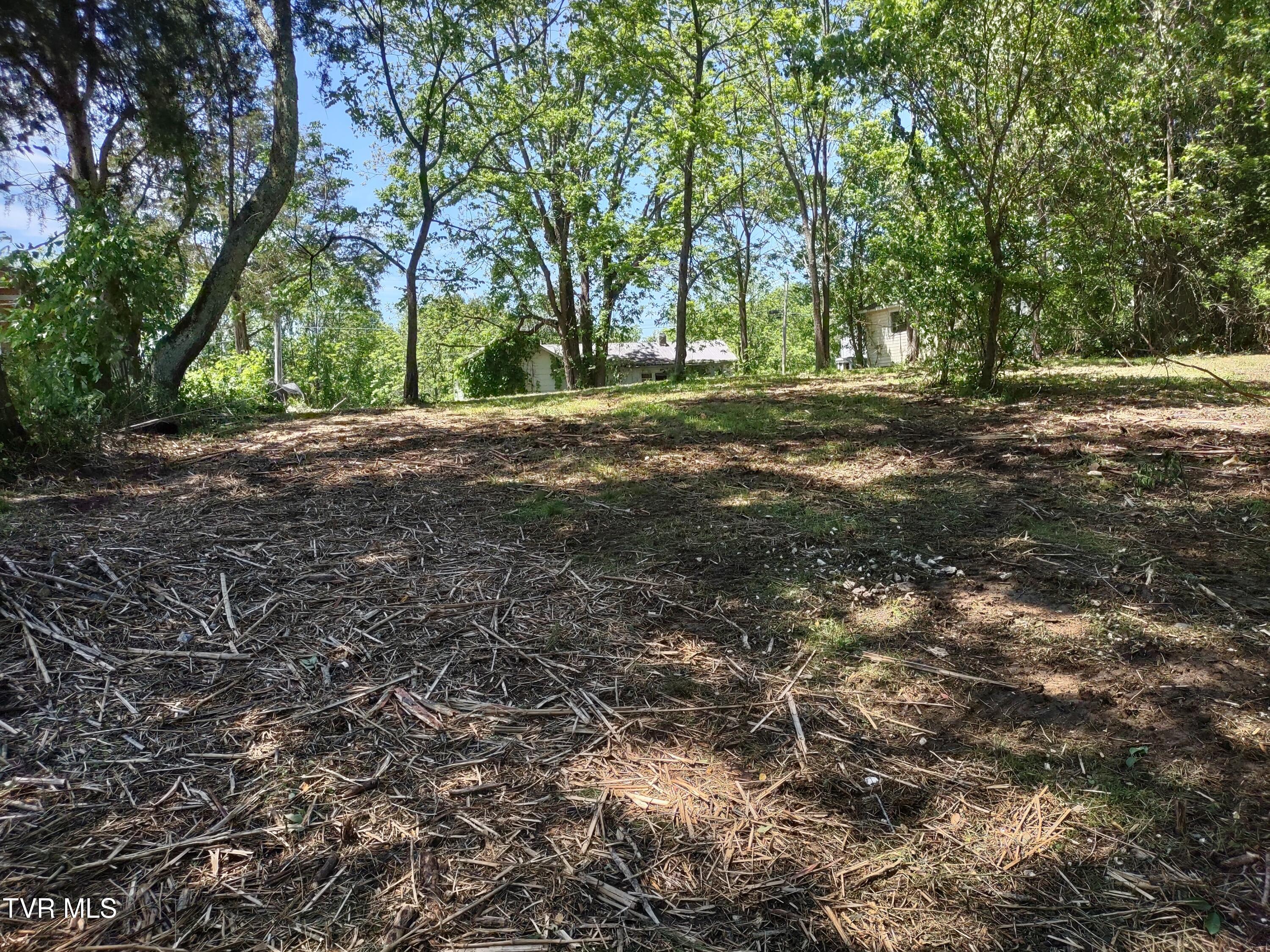 24099 Young Drive, Bristol, Virginia image 4