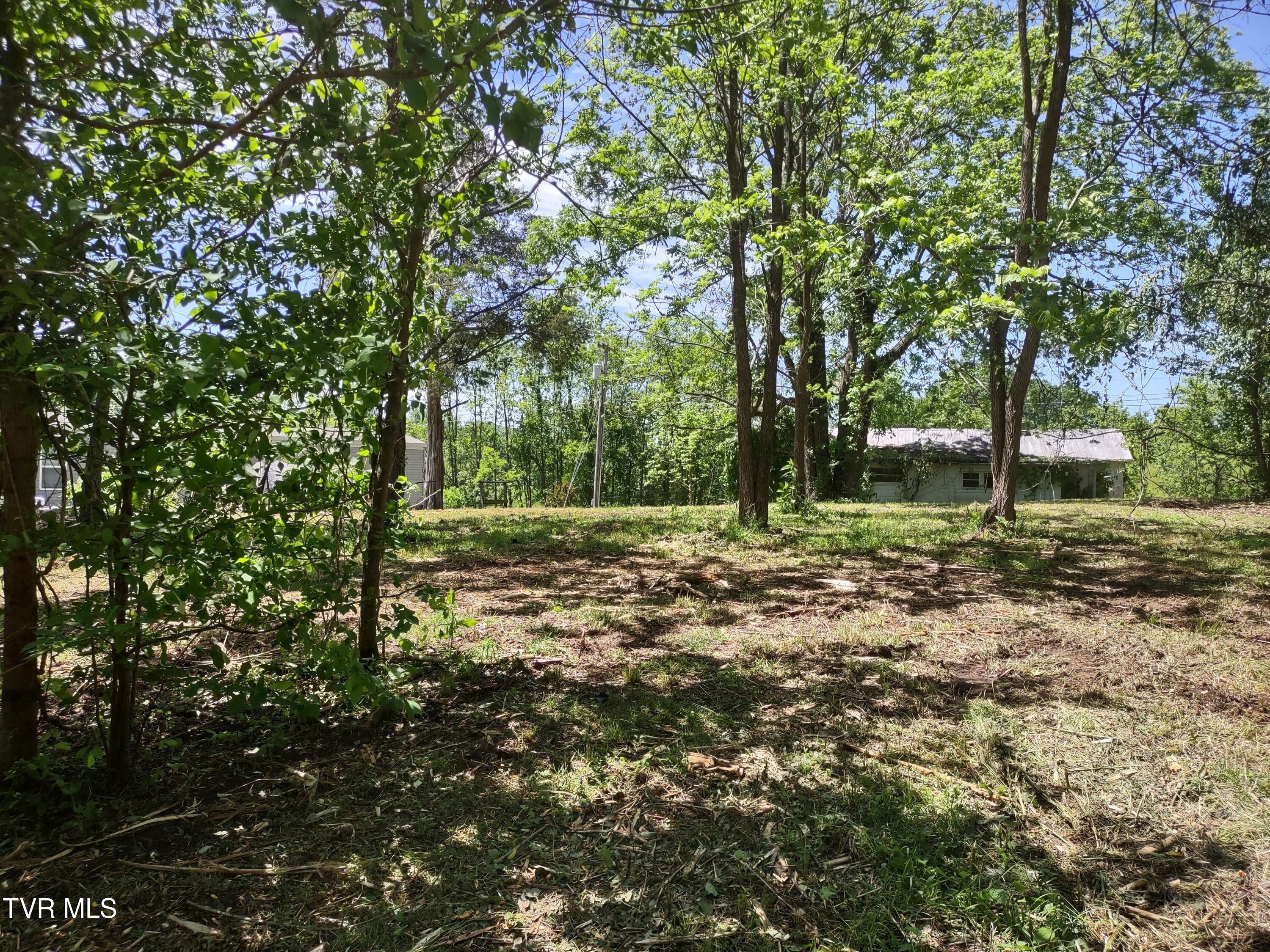 24099 Young Drive, Bristol, Virginia image 5