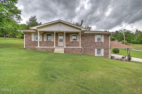 Photo of 5950 Lone Star Road, Kingsport, TN 37660 (MLS # 9994918)