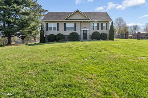 Photo of 120 Hopper Road, Johnson City, TN 37604 (MLS # 9992935)