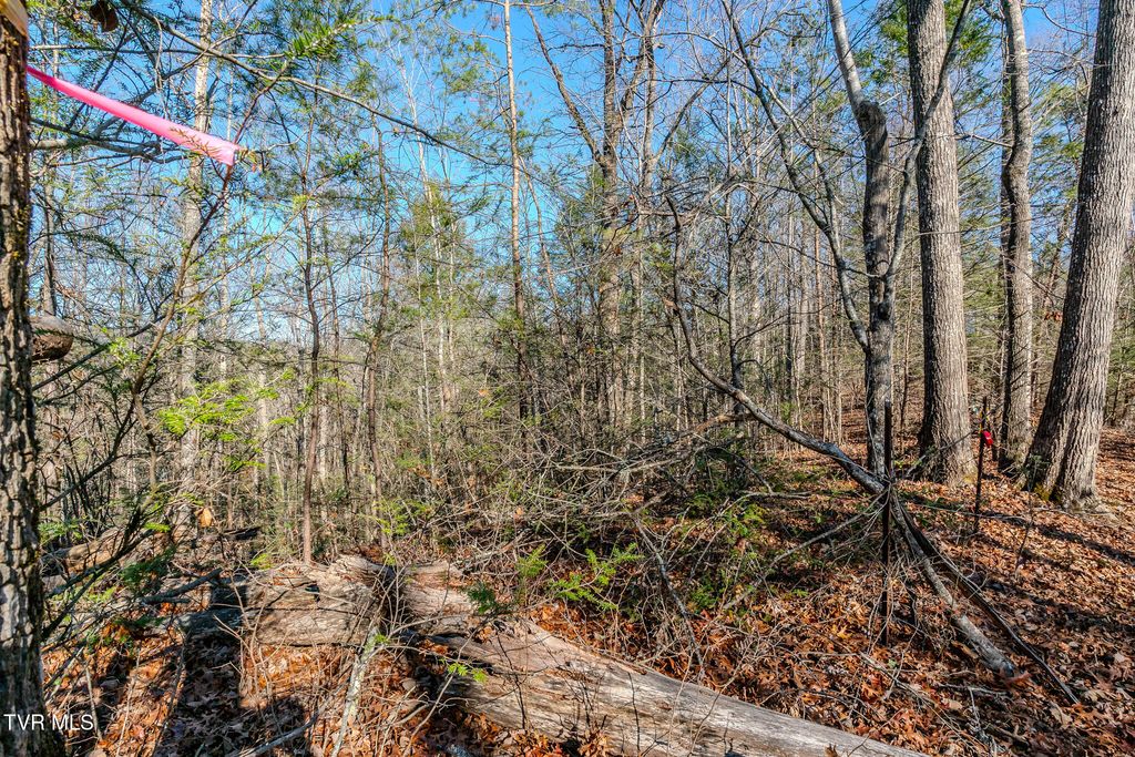 Photo of 22 Shady Grove Court, Sevierville, TN 37876 (MLS # 9989281)