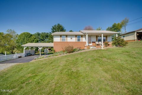 Photo of 4410 Asheville Highway, Greeneville, TN 37743 (MLS # 9993739)