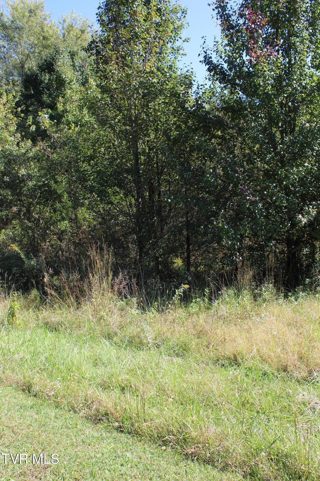 Photo of Tbd Natural Tunnel Parkway, Duffield, VA 24244 (MLS # 10002385)
