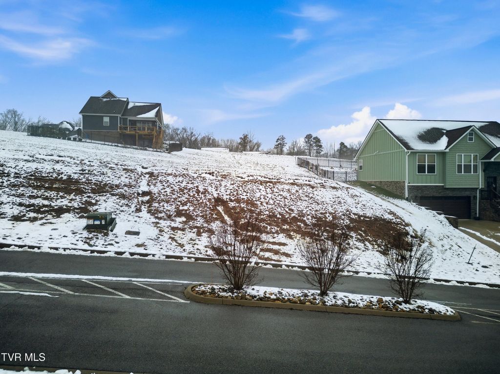 Photo of 0 Bridgewater Boulevard, Morristown, TN 37814 (MLS # 9991069)