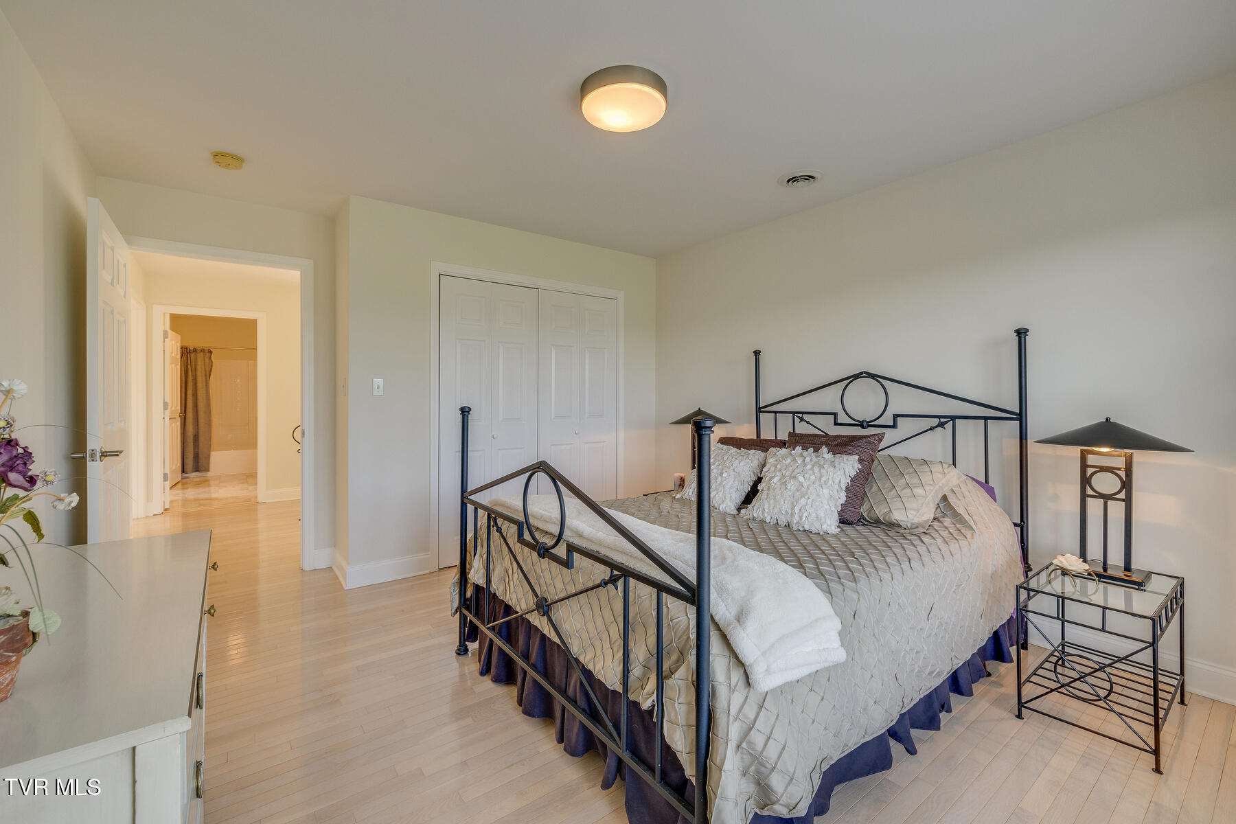 14367 King Mill Pike, Bristol, Virginia image 42