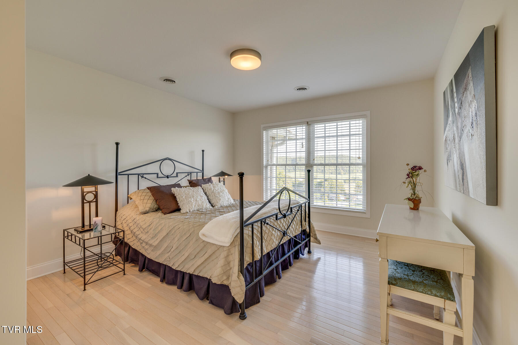 14367 King Mill Pike, Bristol, Virginia image 41
