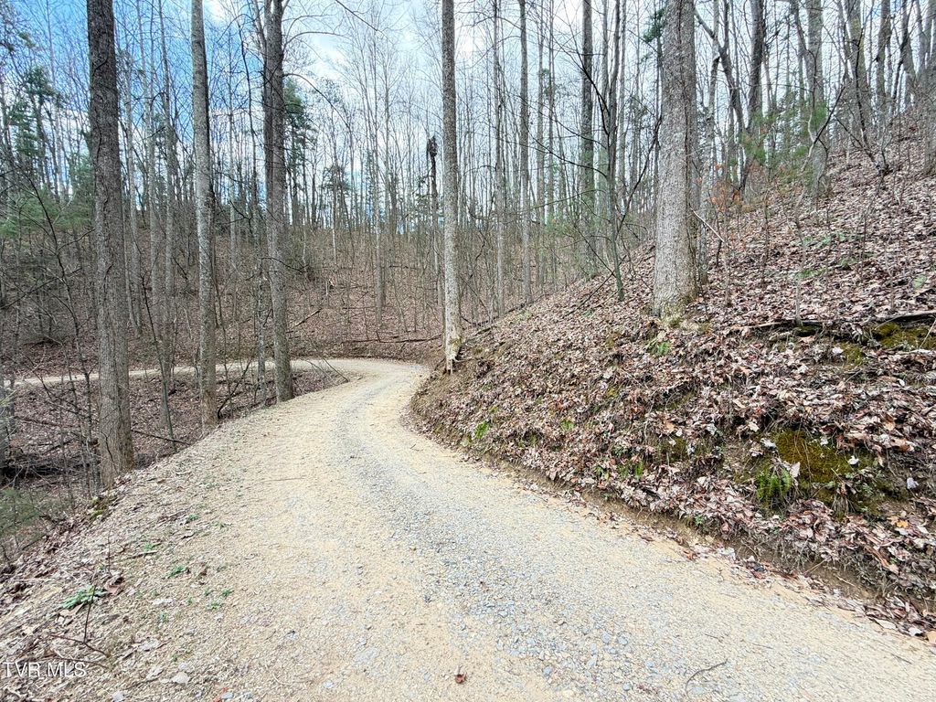 Photo of 401 Reece Hollow Road, Del Rio, TN 37727 (MLS # 9993354)