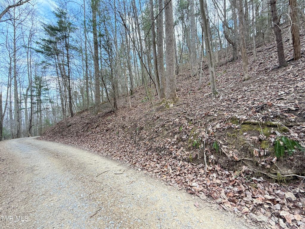 Photo of 401 Reece Hollow Road, Del Rio, TN 37727 (MLS # 9993354)