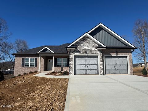 1208 Hawley Road Blountville TN 37617