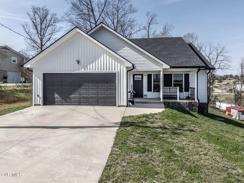 80 Polly Anna Drive Mosheim TN 37818