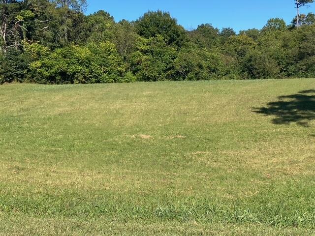 Lot 58 River Pointe Drive, Greeneville, Tennessee image 6