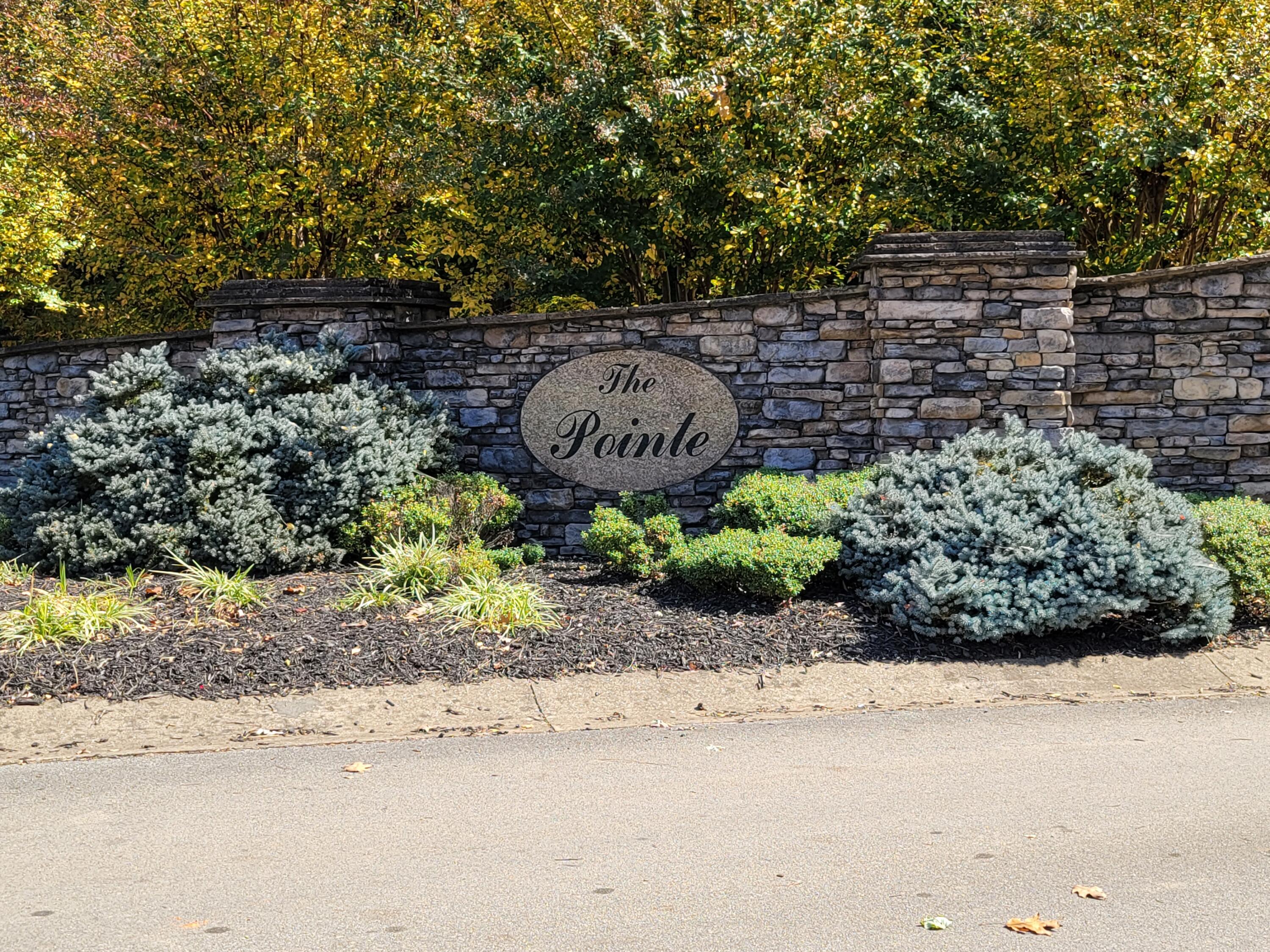 Lot 58 River Pointe Drive, Greeneville, Tennessee image 2