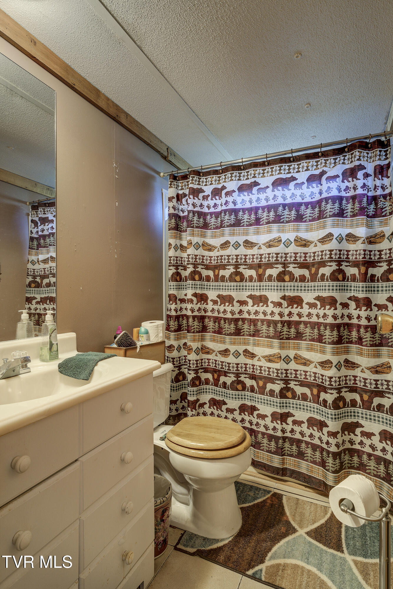 929 Mcclellan Town Lane, Gate City, Virginia image 19