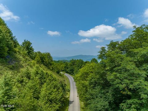 Vacant Land For Sale - C34 Bow And Arrow Nvno<br/> Trade, TN 37691