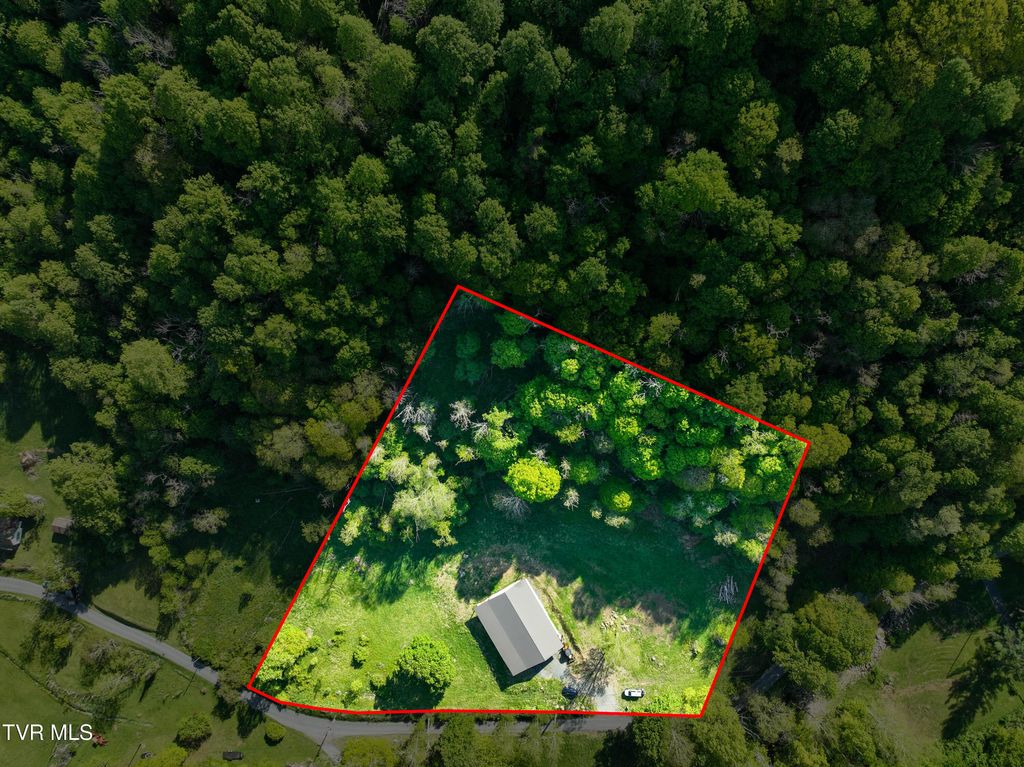 Photo of 699 Heaton Creek Road, Roan Mountain, TN 37687 (MLS # 9994952)