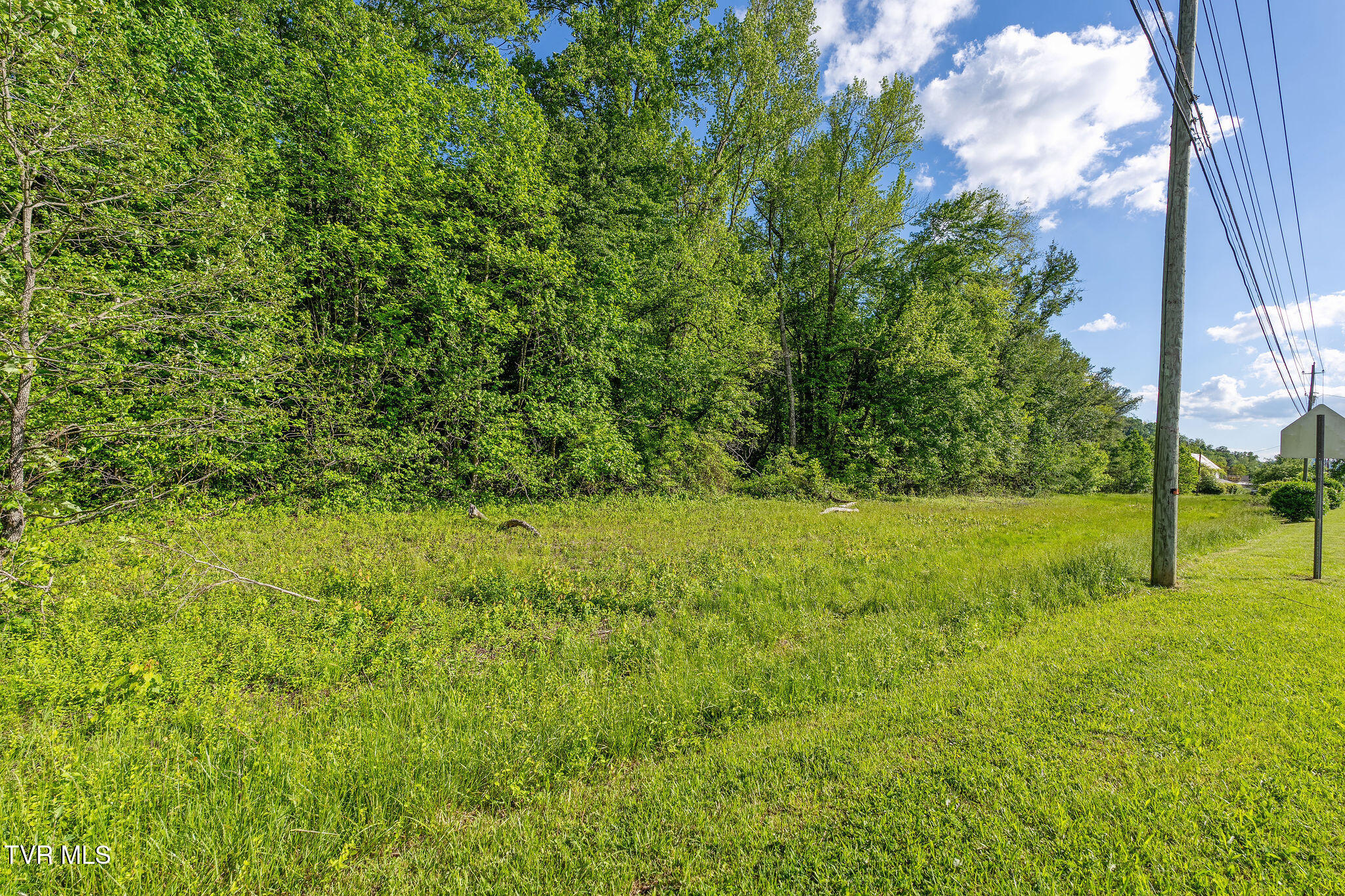 000 Highway 91, Elizabethton, Tennessee image 4