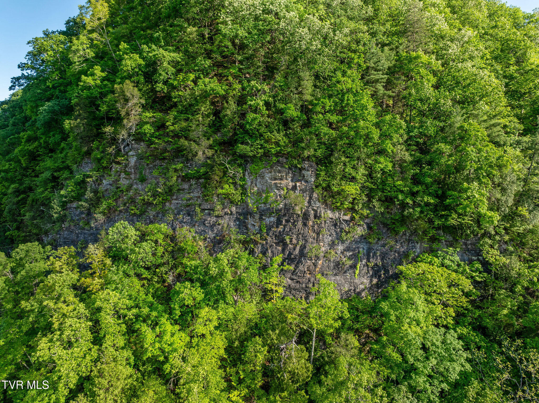 000 Highway 91, Elizabethton, Tennessee image 31