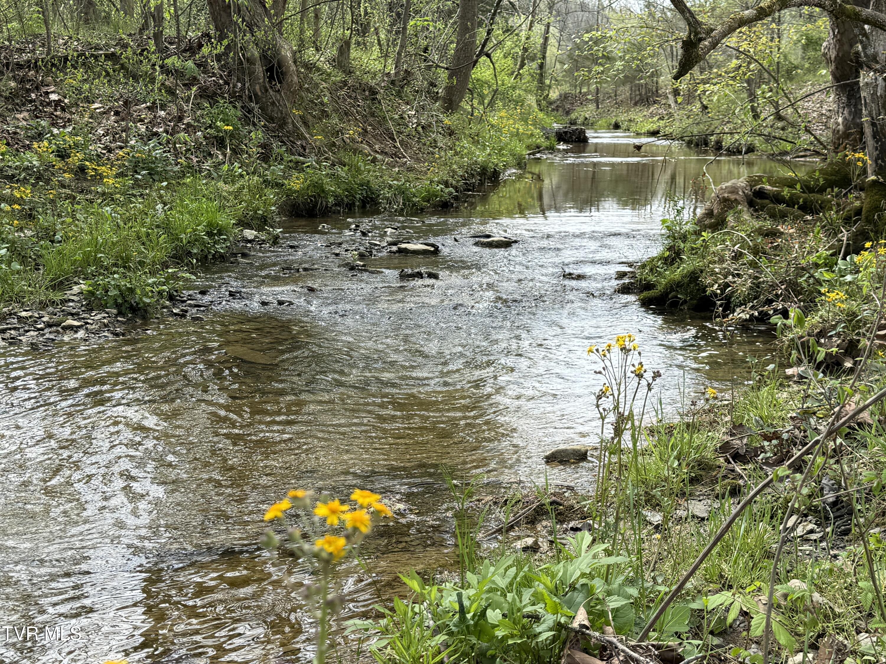 Long Town Road, Bulls Gap, Tennessee image 11