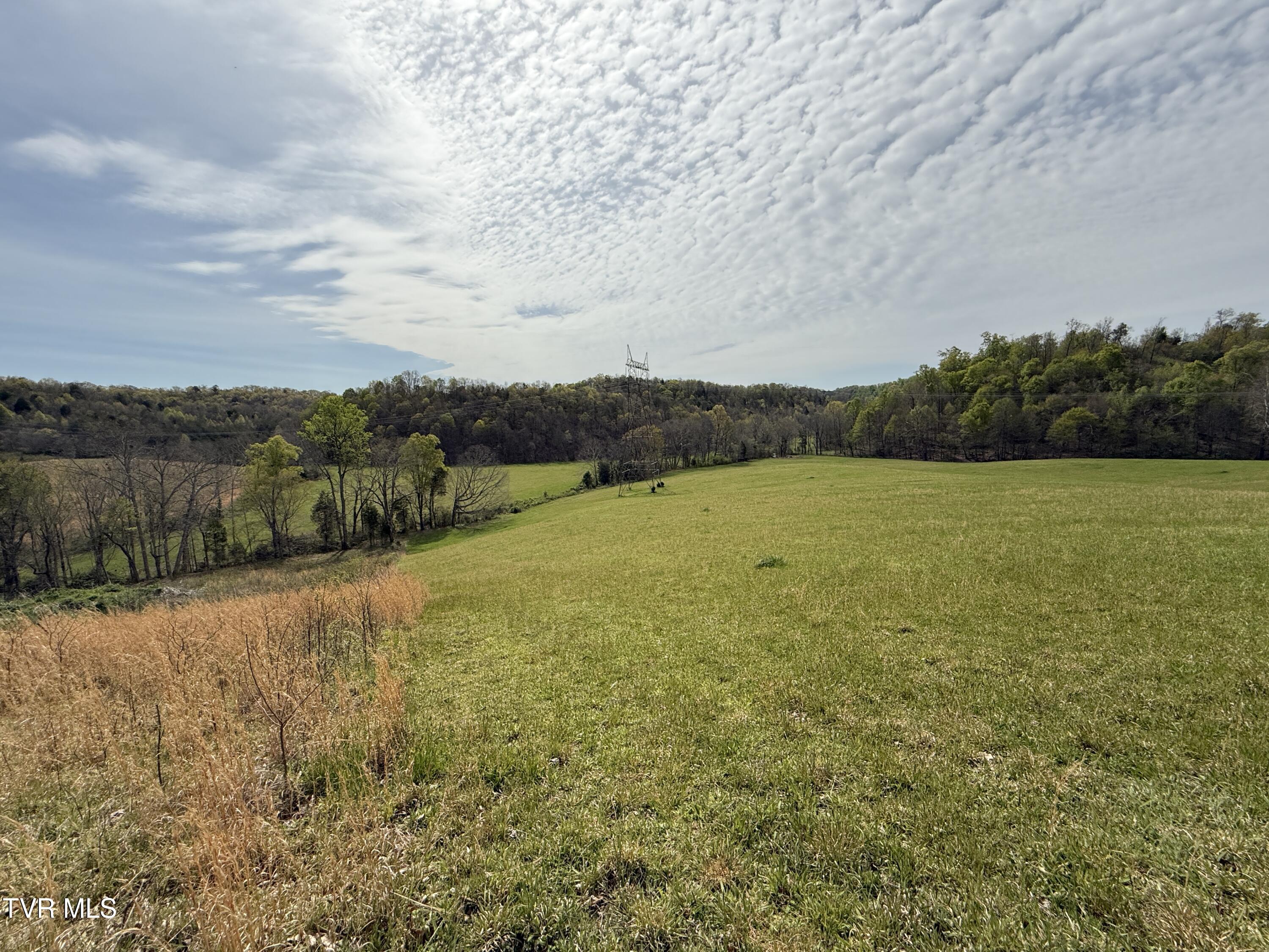 Long Town Road, Bulls Gap, Tennessee image 18