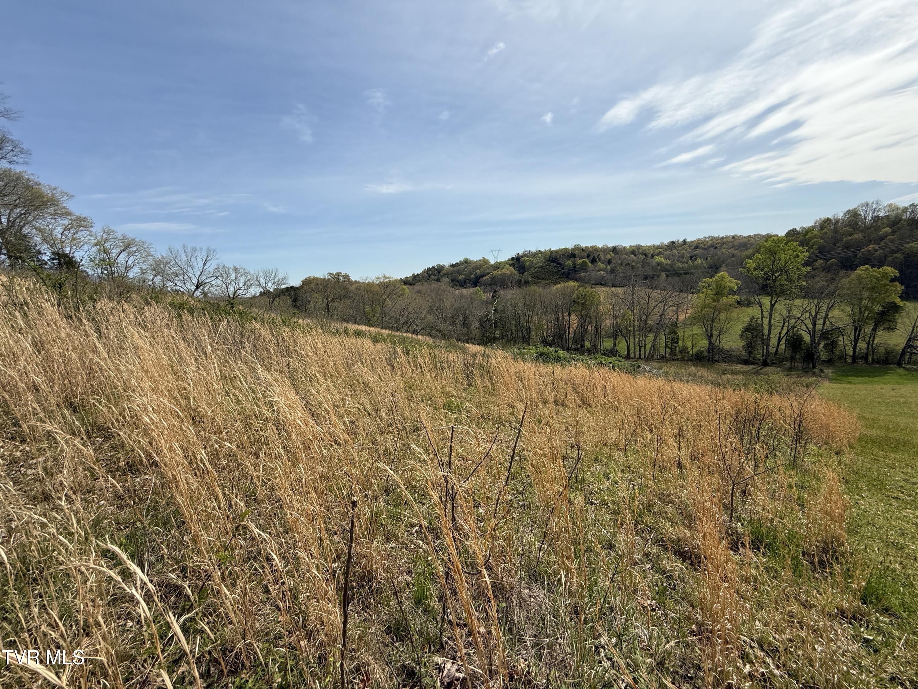 Long Town Road, Bulls Gap, Tennessee image 16