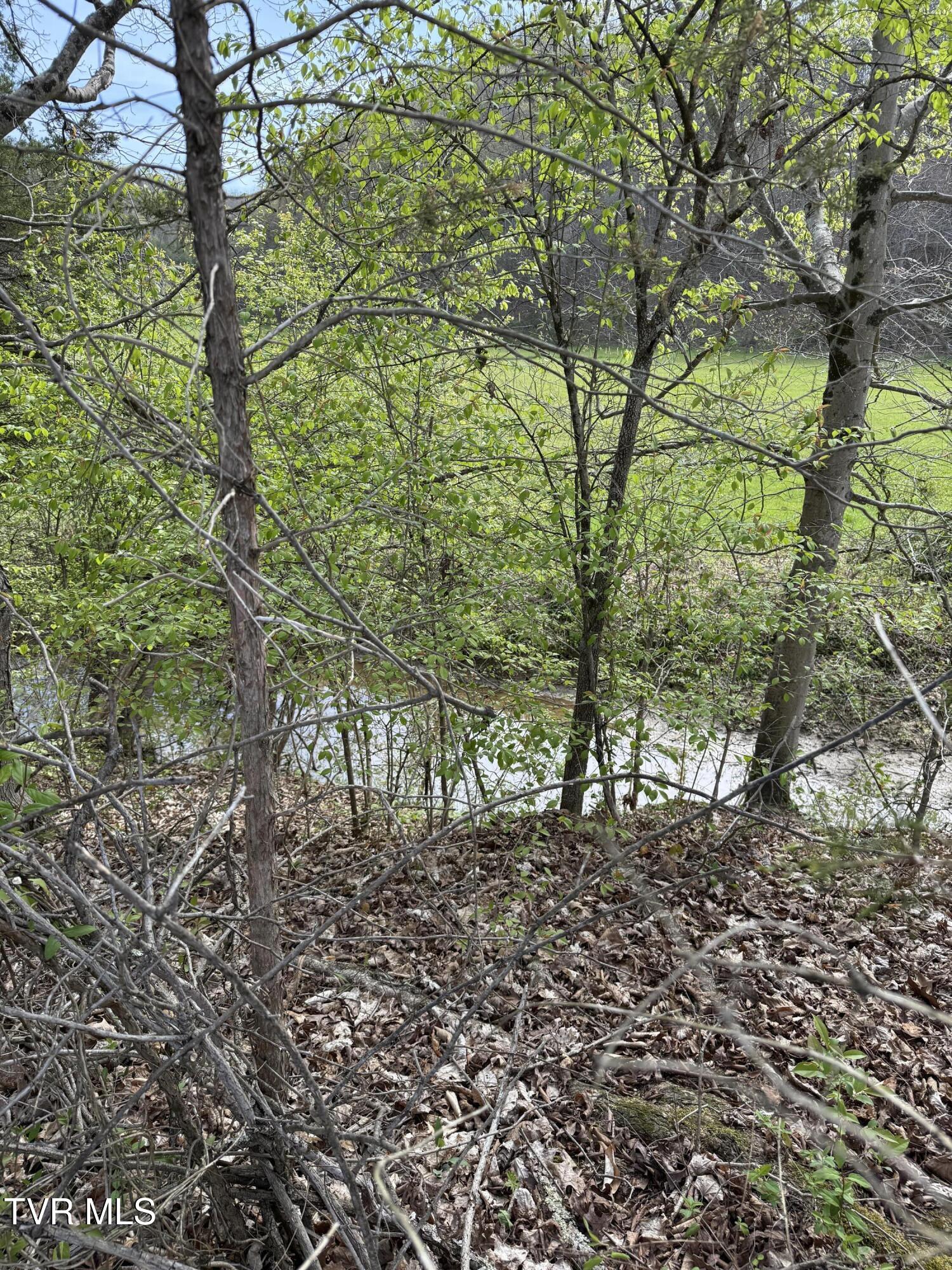 Long Town Road, Bulls Gap, Tennessee image 28