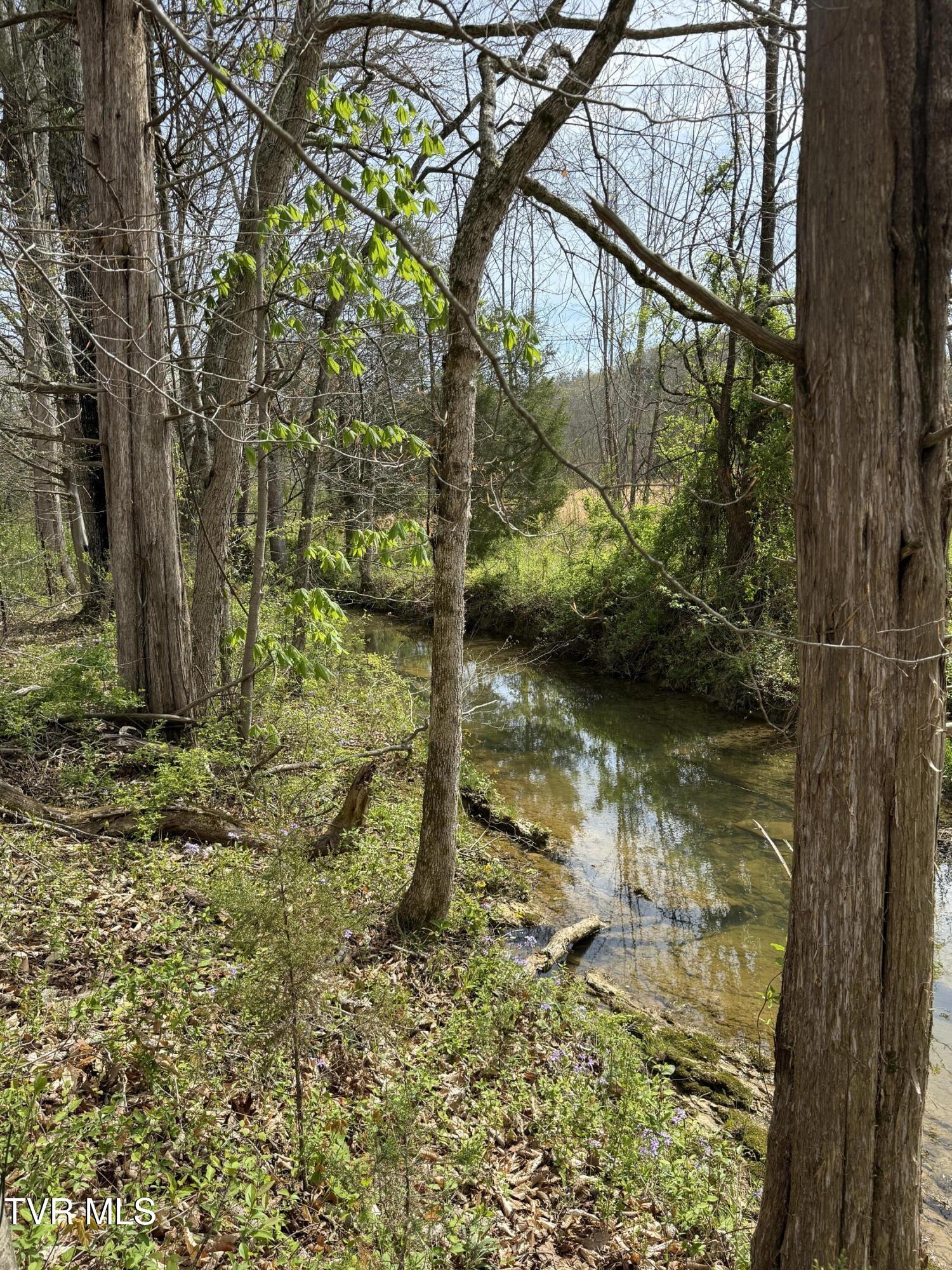 Long Town Road, Bulls Gap, Tennessee image 22