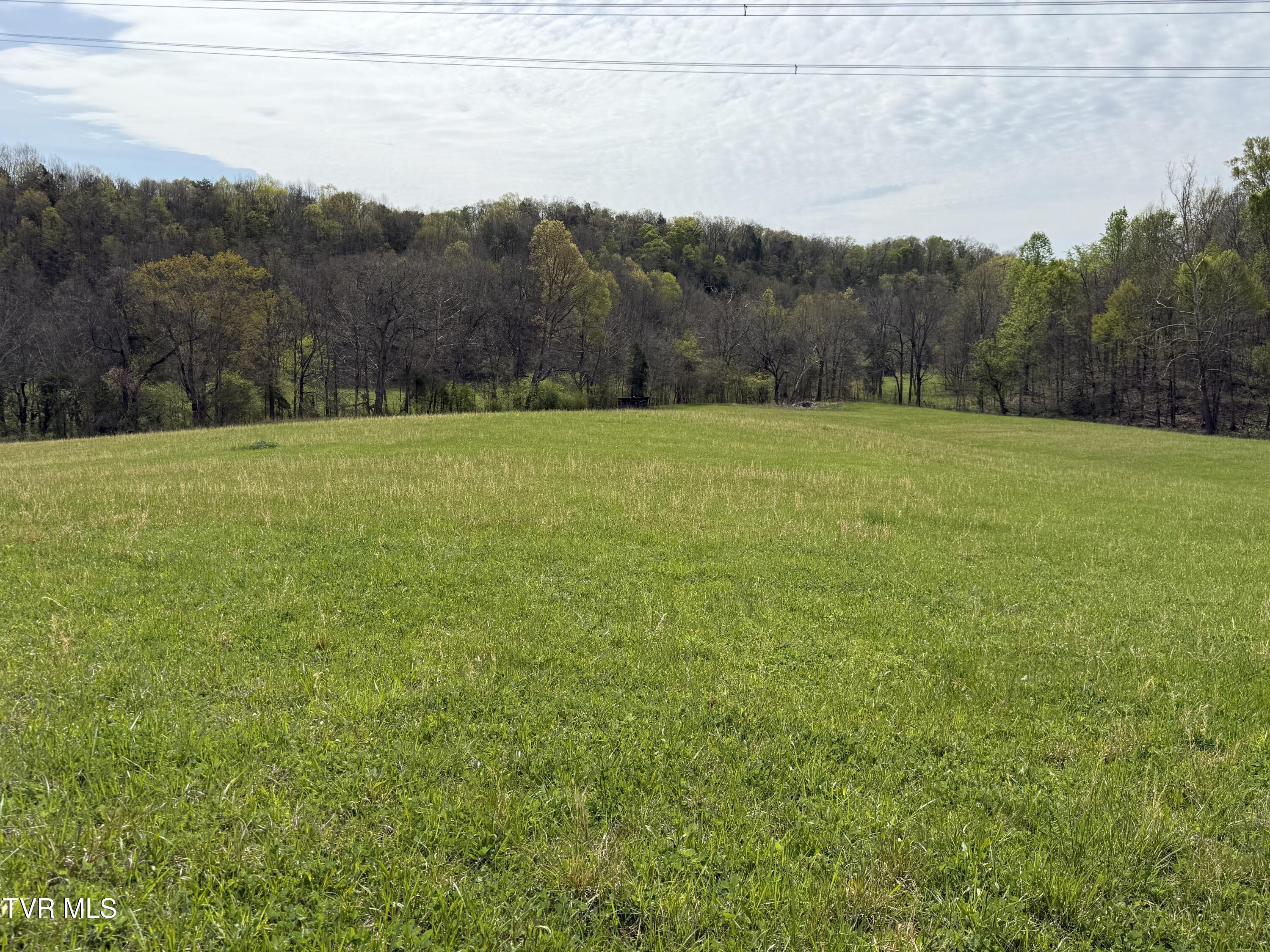 Long Town Road, Bulls Gap, Tennessee image 21