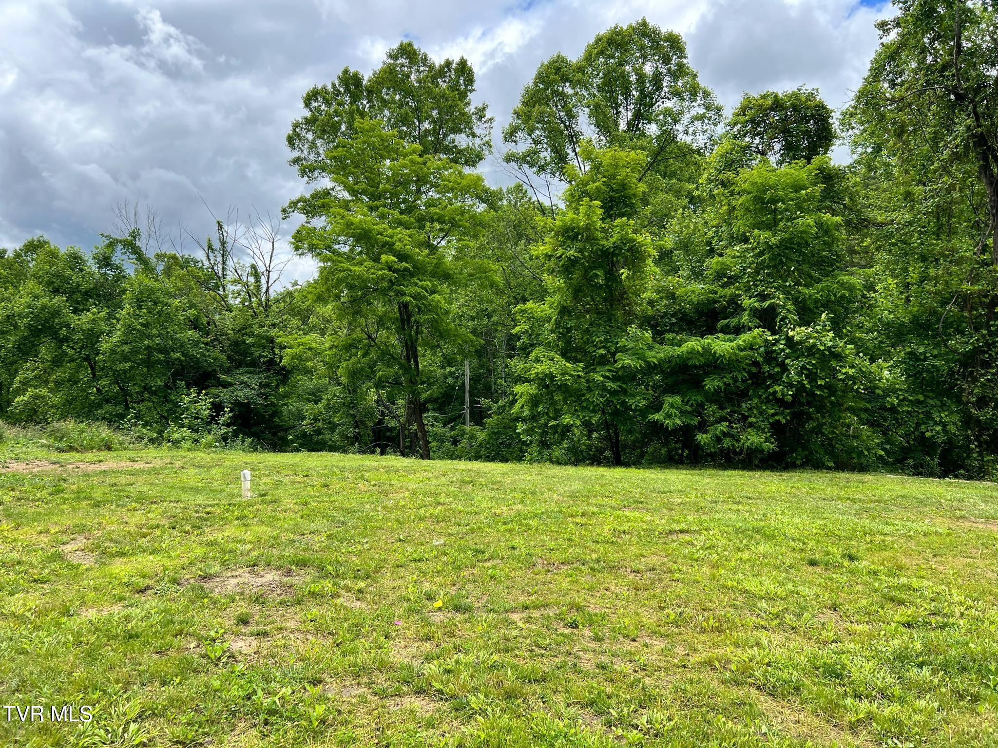 10126 Green Hollow Road, Wise, Virginia image 38