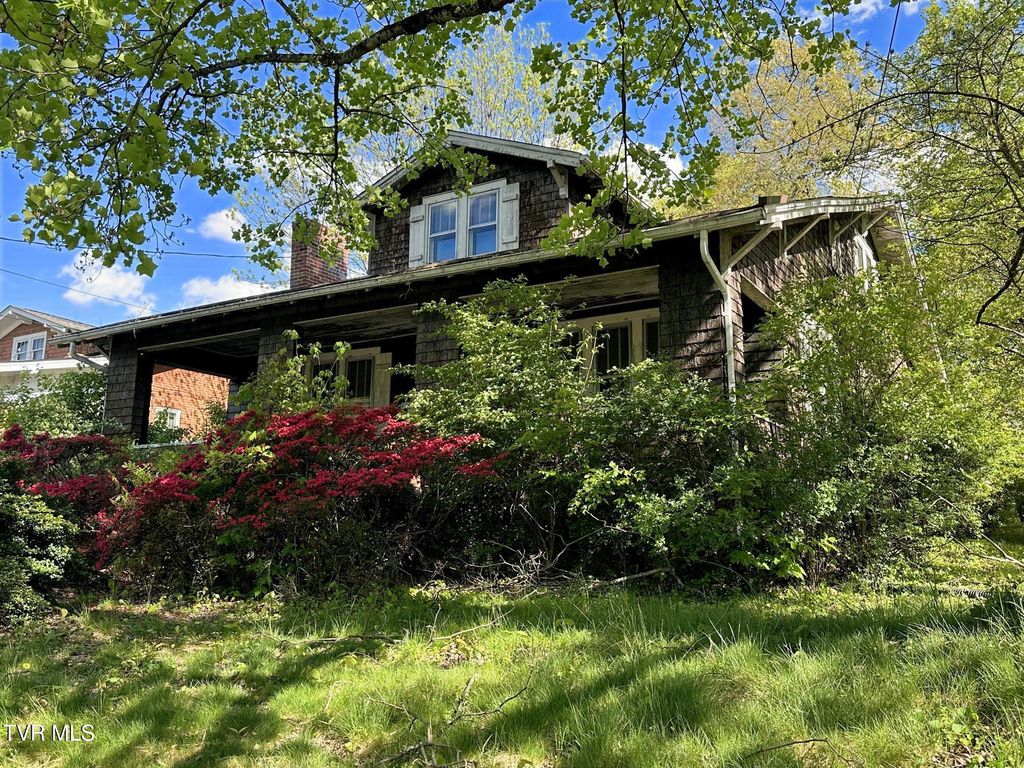 Photo of 612 Euclid Avenue, Bristol, VA 24201 (MLS # 9994296)